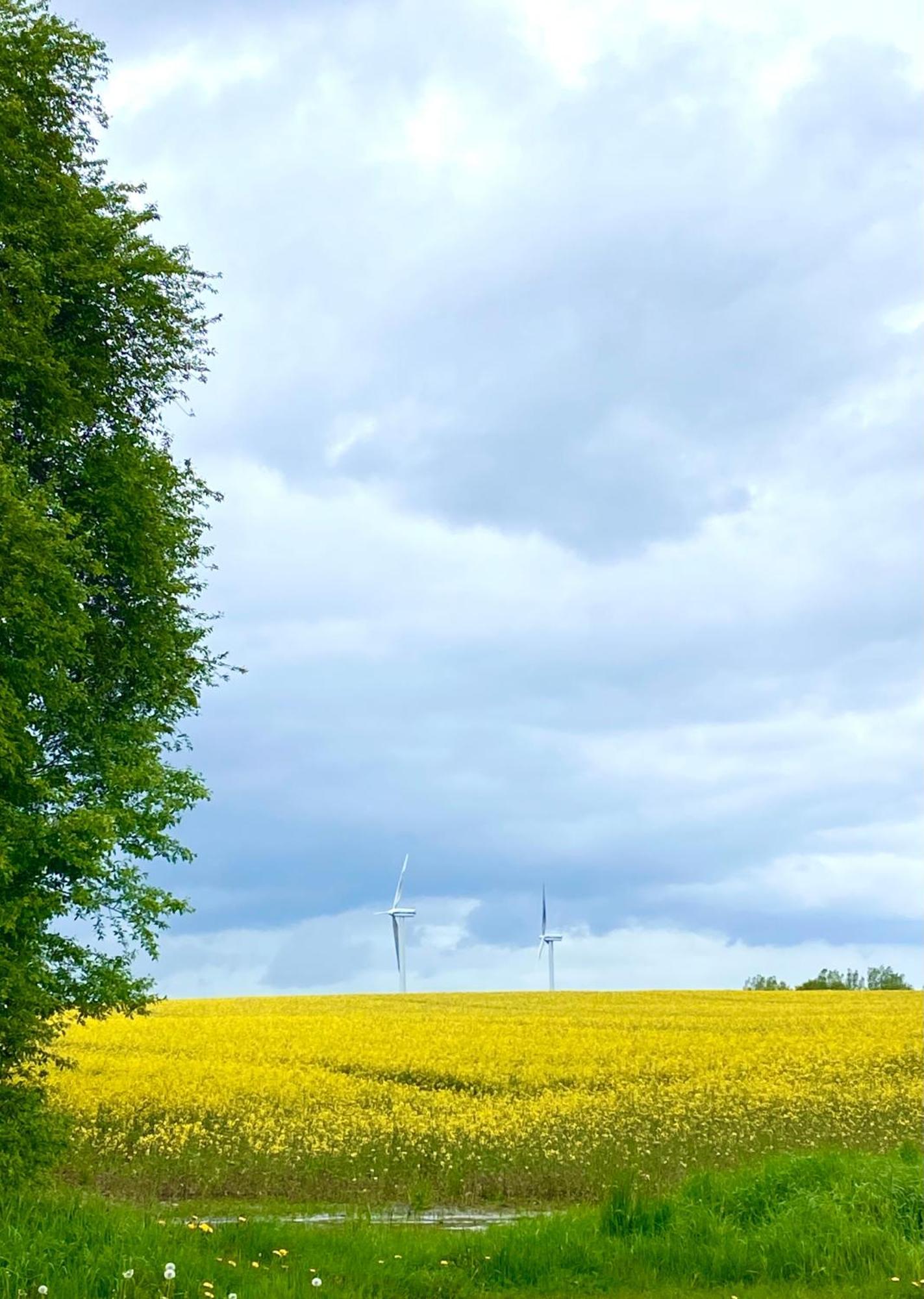 Ferienhaus Bei Engel Ahrensbok Kültér fotó